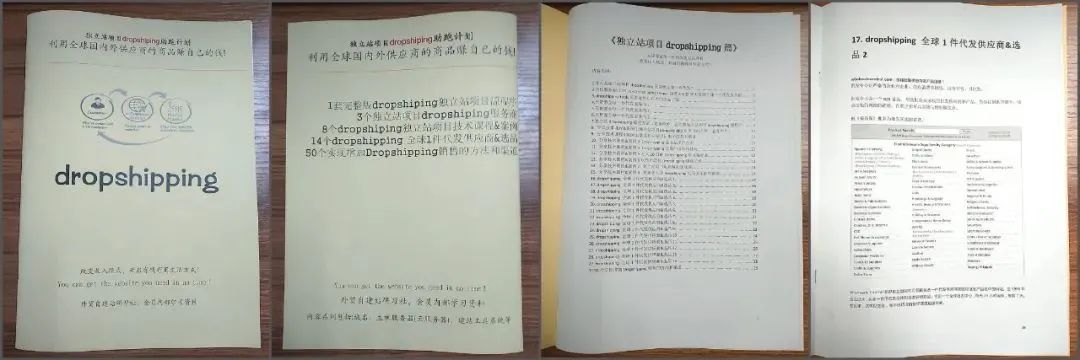 4个年销售数百万美元的dropshipping独立站项目示例-图片2